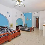 Liogerma 2* Адамас